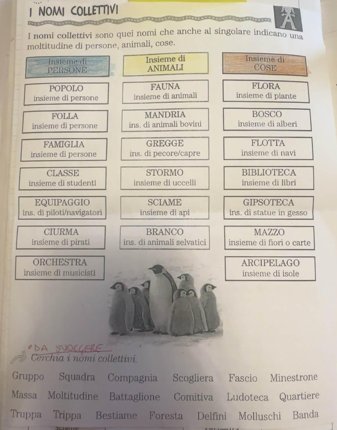 Risolto:NOMI COLLETTIVI I nomi collettivi sono quei nomi che anche al ...