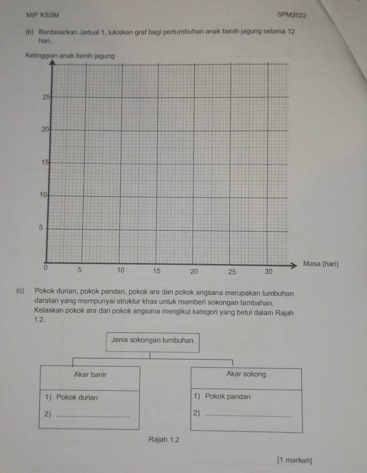 MIP KSSM SPM2022 
(b) Berdasarkan Jadual 1, lukiskan graf bagi pertumbuhan anak benih jagung selama 12
hari. 
(c) Pokok durian, pokok pandan, pokok ara dan pokok angsana merupakan tumbuhan 
daratan yang mempunyai struktur khas untuk memberi sokongan tambahan. 
Kelaskan pokok ara dan pokok angsana mengikut kategori yang betul dalam Rajah 
1.2. 
Jenis sokongan tumbuhan 
Akar banir Akar sokong 
1) Pokok durian 1) Pokok pandan 
2)_ 
2)_ 
Rajah 1.2 
[1 markah]