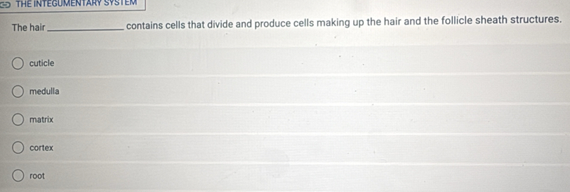 THE INTEGUMENTARY SYSTEM
The hair_ contains cells that divide and produce cells making up the hair and the follicle sheath structures.
cuticle
medulla
matrix
cortex
root