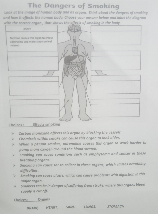 The Dangers of Smoking
Look at the image of human body and its organs. Think about the dangers of smoking
and how it affects the human body. Choose your answer below and label the diagram
w
Carbon monoxide affects this organ by blocking the vessels.
Chemicals within smoke can cause this organ to look older.
When a person smokes, adrenaline causes this organ to work harder to
pump more oxygen around the blood stream.
Smoking can cause conditions such as emphysema and cancer in these
breathing organs.
Smoking can cause tar to collect in these organs, which causes breathing
difficulties.
Smoking can cause ulcers, which can cause problems with digestion in this
major organ.
Smokers can be in danger of suffering from stroke, where this organs blood
supply is cut off.
Choices: Organs
BRAIN, HEART, SKIN, LUNGS, STOMACH