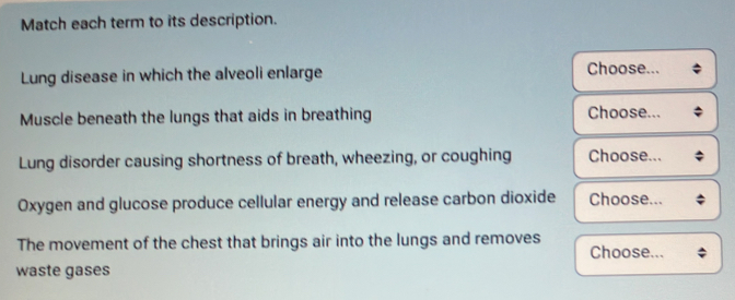 Match each term to its description. 
Lung disease in which the alveoli enlarge Choose... 
Muscle beneath the lungs that aids in breathing Choose... 
Lung disorder causing shortness of breath, wheezing, or coughing Choose... 
Oxygen and glucose produce cellular energy and release carbon dioxide Choose... 
The movement of the chest that brings air into the lungs and removes Choose... 
waste gases