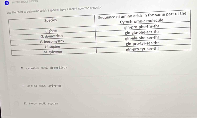 MLLTIPLE CHIDICE QUESTion
recent common ancestor,
M. sylvonus andG. domesticus
H. sopien andM. sylvonus
E. ferus andH. sopien