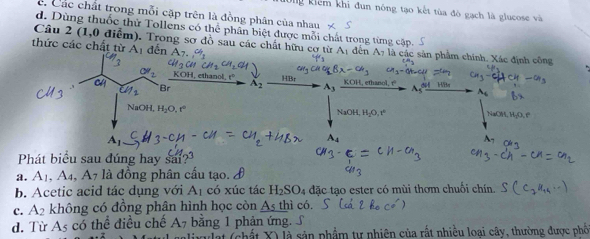 Kg kiểm khi đun nông tạo kết tùa đò gạch là glucose và
C. Các chất trong mỗi cặp trên là đồng phân của nhau
d. Dùng thuốc thử Tollens có thể phân biệt được mỗi chất trong từng cặp.
Câu 2 (1,0 điễm). Trong sơ đồ sau các chất hữu cơ từ Aị đến A_7 là các sản phâm chính. Xác định công
thức các chất từ A_1 đ ên
thanol, r A_2 A_3
HBr KOH, ethanol, t
A_6
NaOH, H_2O.r NaOH, H_2O
A1
Phát biểu sau đúng hay sai?
a. A_1, A_4, A_7 7 là đồng phân cấu tạo. 2
b. Acetic acid tác dụng với A_1 có xúc tác H_2SO_4 đặc tạo ester có mùi thơm chuối chín.
C. A_2 không có đồng phân hình học còn As thì có.
d. Từ A * có thể điều chế A_7 bằng 1 phản ứng.
là là sản phẩm tự nhiên của rất nhiều loại cây, thường được phối