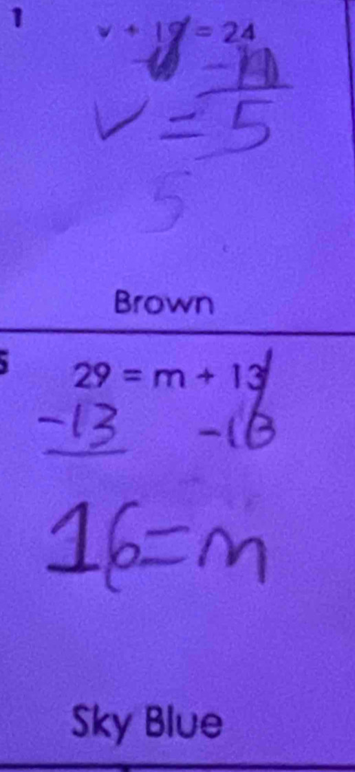 1

Brown
29=m+13
Sky Blue