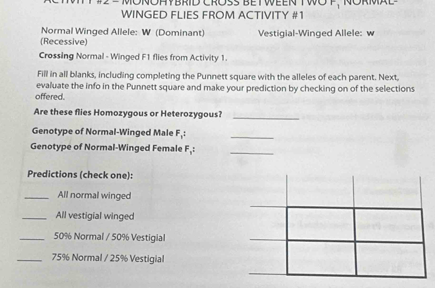 MONOHYBRID CRÜß BET WEEN T WO F, NÜRMAL 
WINGED FLIES FROM ACTIVITY #1 
Normal Winged Allele: W (Dominant) Vestigial-Winged Allele: w 
(Recessive) 
Crossing Normal - Winged F1 flies from Activity 1. 
Fill in all blanks, including completing the Punnett square with the alleles of each parent. Next, 
evaluate the info in the Punnett square and make your prediction by checking on of the selections 
offered. 
Are these flies Homozygous or Heterozygous?_ 
Genotype of Normal-Winged Male F_1 : 
_ 
Genotype of Normal-Winged Female F_1 : _ 
Predictions (check one): 
_All normal winged 
_All vestigial winged 
_ 50% Normal / 50% Vestigial 
_ 75% Normal / 25% Vestigial