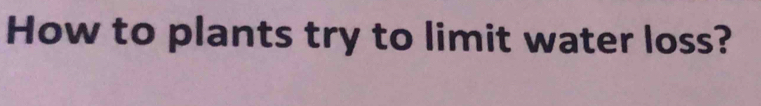How to plants try to limit water loss?