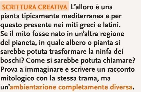 SCRITTURA CREATIVA L'alloro è una 
pianta tipicamente mediterranea e per 
questo presente nei miti greci e latini. 
Se il mito fosse nato in un'altra regione 
del pianeta, in quale albero o pianta si 
sarebbe potuta trasformare la ninfa dei 
boschi? Come si sarebbe potuta chiamare? 
Prova a immaginare e scrivere un racconto 
mitologico con la stessa trama, ma 
un ambientazione completamente diversa.