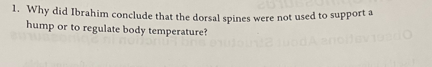 Why did Ibrahim conclude that the dorsal spines were not used to support a 
hump or to regulate body temperature?