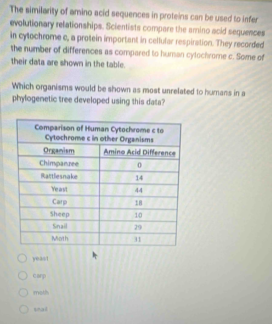 The similarity of amino acid sequences in proteins can be used to infer
evolutionary relationships. Scientists compare the amino acid sequences
in cytochrome c, a protein important in cellular respiration. They recorded
the number of differences as compared to human cytochrome c. Some of
their data are shown in the table.
Which organisms would be shown as most unrelated to humans in a
phylogenetic tree developed using this data?
yeast
carp
moth
snail