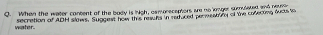 When the water content of the body is high, osmoreceptors are no longer stimulated and neuro- 
secretion of ADH slows. Suggest how this results in reduced permeability of the collecting ducts to 
water.