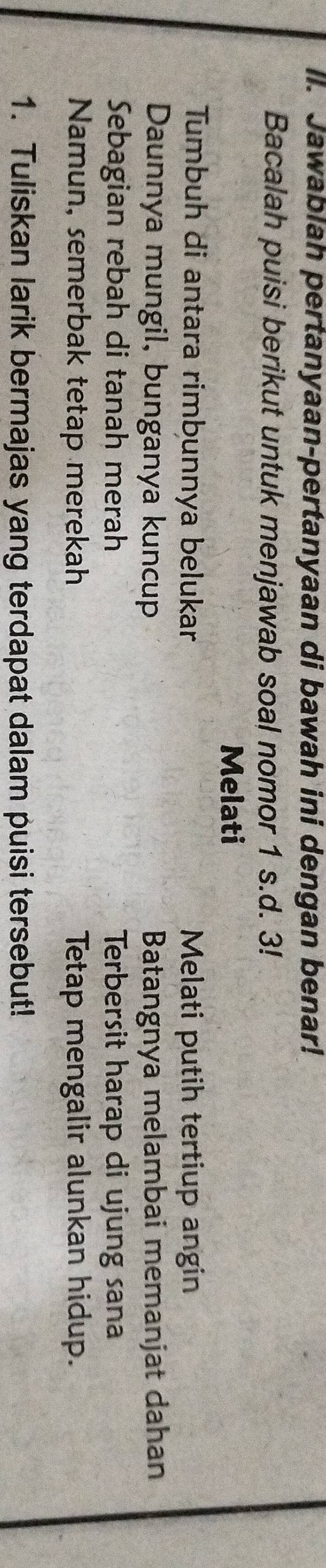 Il. Jawablah pertanyaan-pertanyaan di bawah ini dengan benar! 
Bacalah puisi berikut untuk menjawab soal nomor 1 s.d. 3! 
Melati 
Tumbuh di antara rimbunnya belukar Melati putih tertiup angin 
Daunnya mungil, bunganya kuncup Batangnya melambai memanjat dahan 
Sebagian rebah di tanah merah Terbersit harap di ujung sana 
Namun, semerbak tetap merekah Tetap mengalir alunkan hidup. 
1. Tuliskan larik bermajas yang terdapat dalam puisi tersebut!