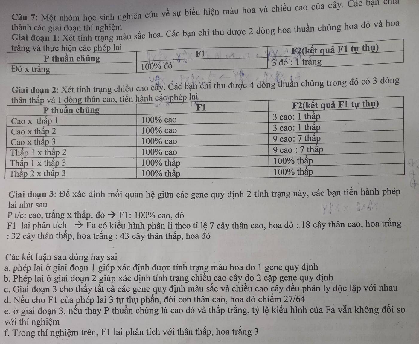 Một nhóm học sinh nghiên cứu về sự biểu hiện màu hoa và chiều cao của cây. Các bạn chia
thành các giai đoạn thí nghiệm
àu sắc hoa. Các bạn chỉ thu được 2 dòng hoa thuần chủng hoa đỏ và hoa
Giai đoạn 2: Xét tính trạng chiều cao cây. Các bạn chỉ thu được 4 dòng thuần chủng trong đó có 3 dòng
Giai đoạn 3: Để xác định mối quan hệ giữa các gene quy định 2 tính trạng này, các bạn tiến hành phép
lai như sau
P t/c: cao, trắng x thấp, đỏ → F1: 100% cao, đỏ
F1 lai phân tích → Fa có kiểu hình phân li theo tỉ lệ 7 cây thân cao, hoa đỏ : 18 cây thân cao, hoa trắng
: 32 cây thân thấp, hoa trắng : 43 cây thân thấp, hoa đỏ
Các kết luận sau đúng hay sai
a. phép lai ở giai đoạn 1 giúp xác định được tính trạng màu hoa do 1 gene quy định
b. Phép lai ở giai đoạn 2 giúp xác định tính trạng chiều cao cây do 2 cặp gene quy định
c. Giai đoạn 3 cho thấy tất cả các gene quy định màu sắc và chiều cao cây đều phân ly độc lập với nhau
d. Nếu cho F1 của phép lai 3 tự thụ phần, đời con thân cạo, hoa đỏ chiếm 27/64
e. ở giai đoạn 3, nếu thay P thuần chủng là cao đỏ và thấp trắng, tỷ lệ kiểu hình của Fa vẫn không đổi so
với thí nghiệm
f. Trong thí nghiệm trên, F1 lai phân tích với thân thấp, hoa trắng 3
