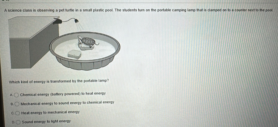 A science class is observing a pet turtle in a small plastic pool. The students turn on the portable camping lamp that is clamped on to a counter next to the pool,
Which kind of energy is transformed by the portable lamp?
Chemical energy (battery powered) to heat energy
B. Mechanical energy to sound energy to chemical energy
Heat energy to mechanical energy
D. Sound energy to light energy