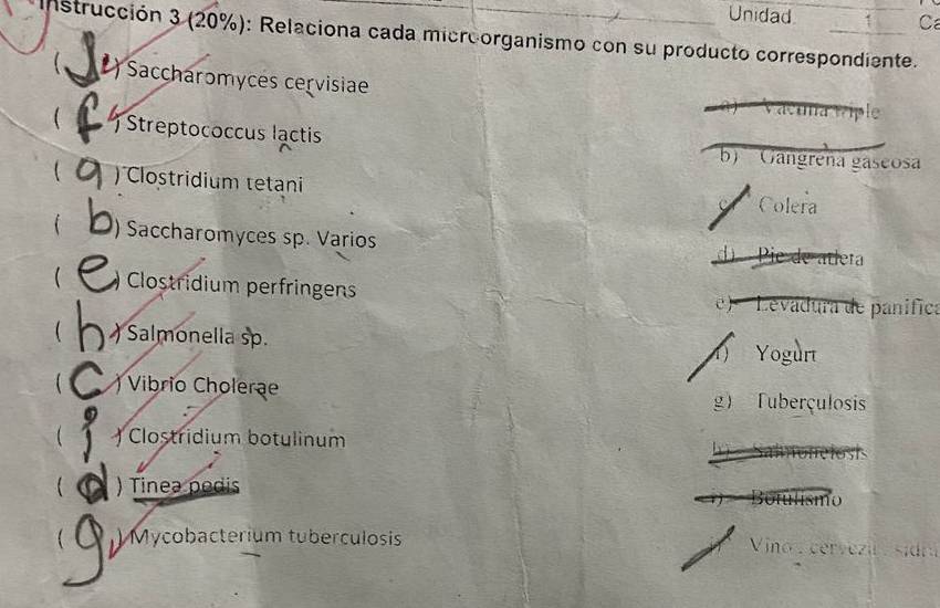 Unidad Ca
Instrucción 3 (20%): Relaciona cada microorganismo con su producto correspondiente.
 Saccharomyces cervisiae
avína wiple
( ) Streptococcus lạctis
b) Gangrena gaseosa
 ) Clostridium tetani
Colera
 ) Saccharomyces sp. Varios
d) Pie de atlera
 Clostridium perfringens e) Levadura de panífica
( ) Salmonella sp. : Yogurt
 ) Vibrio Cholerae g) Tuberçulosis
( Clostridium botulinum
( ) Tinea pedis
( ) Mycobacterium tuberculosis Vino : cervezu