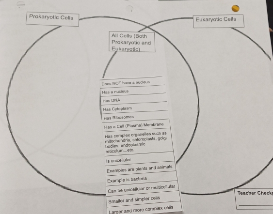 Teacher Check 
_ 
Larger and more complex cells