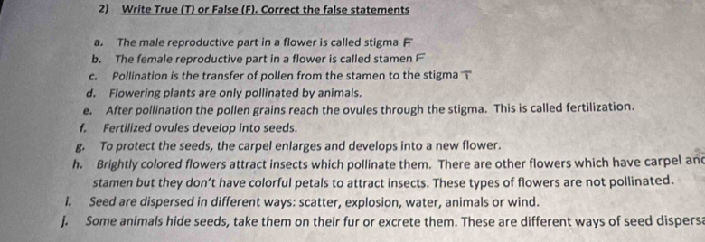 Write True (T) or False (F). Correct the false statements 
a. The male reproductive part in a flower is called stigma F 
b. The female reproductive part in a flower is called stamen F 
c. Pollination is the transfer of pollen from the stamen to the stigma T 
d. Flowering plants are only pollinated by animals. 
e. After pollination the pollen grains reach the ovules through the stigma. This is called fertilization. 
f. Fertilized ovules develop into seeds. 
g. To protect the seeds, the carpel enlarges and develops into a new flower. 
h. Brightly colored flowers attract insects which pollinate them. There are other flowers which have carpel and 
stamen but they don’t have colorful petals to attract insects. These types of flowers are not pollinated. 
I. Seed are dispersed in different ways: scatter, explosion, water, animals or wind. 
j. Some animals hide seeds, take them on their fur or excrete them. These are different ways of seed dispers: