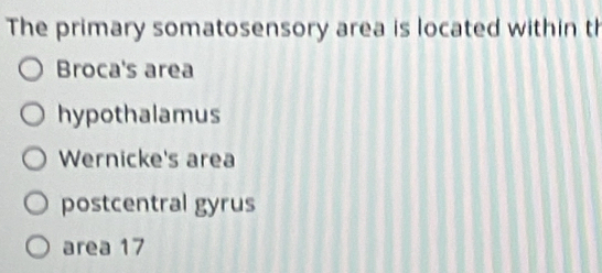 The primary somatosensory area is located within th
Broca's area
hypothalamus
Wernicke's area
postcentral gyrus
area 17