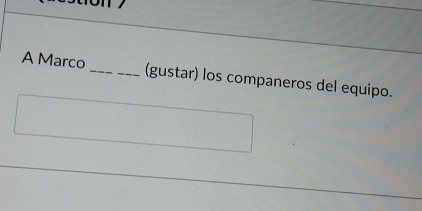 A Marco _(gustar) los companeros del equipo.