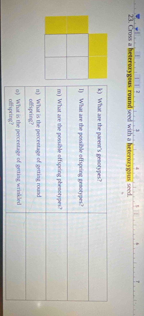 2
3
4
5
6
7
23. Cross a heterozygous round seed with a heterozygous seed.