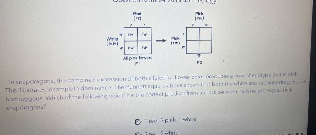 eston Number 24 61 40 - B161ogy
Red 
(rr) 


In snapdragons, the combined expression of both alleles for flower color produces a new phenotype that is pink.
This illustrates incomplete dominance. The Punnett square above shows that both the white and red snapdragons are
homozygous. Which of the following would be the correct product from a cross between two heterozygous pink
snapdragons?
F 1 red, 2 pink, 1 white
2 red 2 white