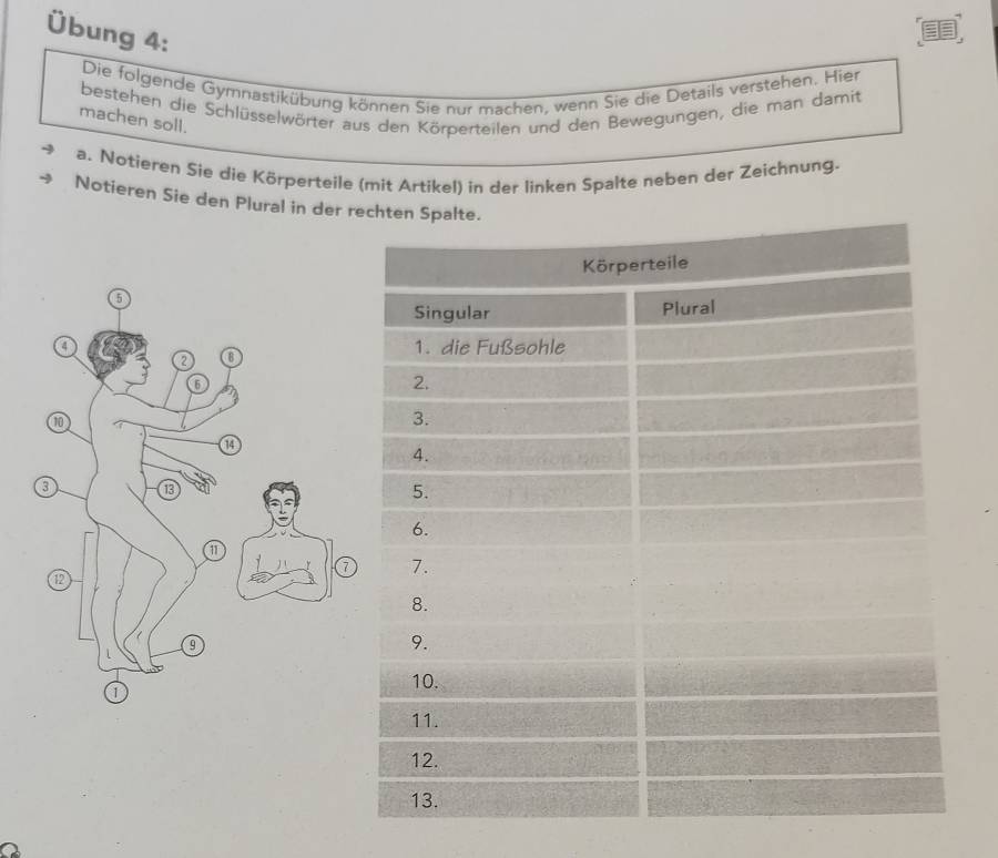 Übung 4: 
Die folgende Gymnastikübung können Sie nur machen, wenn Sie die Details verstehen. Hier 
bestehen die Schlüsselwörter aus den Körperteilen und den Bewegungen, die man damit 
machen soll. 
a. Notieren Sie die Körperteile (mit Artikel) in der linken Spalte neben der Zeichnung. 
Notieren Sie den Plural in der r