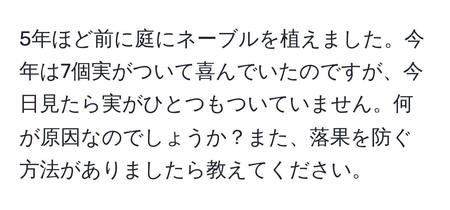 5年ほど前に庭にネーブルを植えました。今年は7個実がついて喜んでいたのですが、今日見たら実がひとつもついていません。何が原因なのでしょうか？また、落果を防ぐ方法がありましたら教えてください。