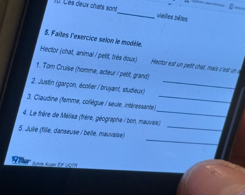 Résolu :dnwcats comoctonenad Jampoci 10. Ces deux chats sont_ vieilles ...