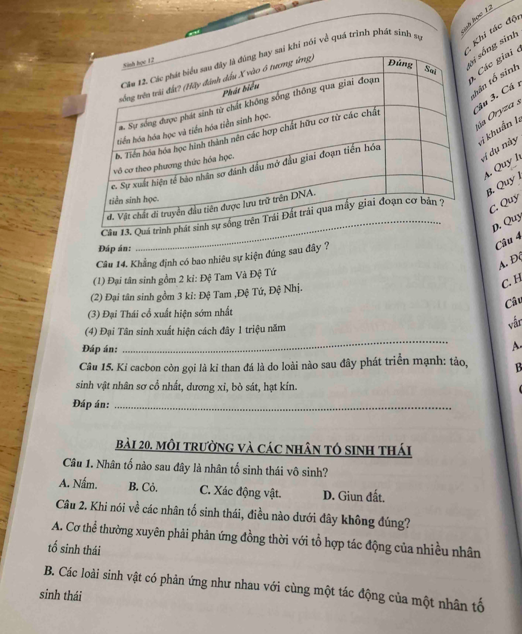 inh học 12
Khi tác độ
sống sinh
hi nói về quá trình phát sinh sự
Các giai ở
ân tố sinh
ầu 3. Cá 
úa Oryza s
vị khuẩn là
ví dụ này
4. Quy 1
B. Quy 
Cầu 13. Q
C. Quy
D. Quy
Đáp án:
Câu 14. Khẳng định có bao nhiêu sự kiện đúng sau đây ?
Câu 4
A. Độ
(1) Đại tân sinh gồm 2 ki: Đệ Tam Và Đệ Tứ
C. H
(2) Đại tân sinh gồm 3 ki: Đệ Tam ,Đệ Tứ, Đệ Nhị.
Câu
(3) Đại Thái cổ xuất hiện sớm nhất
_
(4) Đại Tân sinh xuất hiện cách đây 1 triệu năm
vấn
Đáp án:
A.
Câu 15. Ki cacbon còn gọi là kỉ than đá là do loài nào sau đây phát triển mạnh: tảo, B
sinh vật nhân sơ cổ nhất, dương xỉ, bò sát, hạt kín.

Đáp án:_
bài 20. môI trườnG và các nhân tÓ sinh thái
Câu 1. Nhân tố nào sau đây là nhân tố sinh thái vô sinh?
A. Nấm. B. Cỏ. C. Xác động vật. D. Giun đất.
Câu 2. Khi nói về các nhân tố sinh thái, điều nào dưới đây không đúng?
A. Cơ thể thường xuyên phải phản ứng đồng thời với tổ hợp tác động của nhiều nhân
tổ sinh thái
B. Các loài sinh vật có phản ứng như nhau với cùng một tác động của một nhân tố
sinh thái