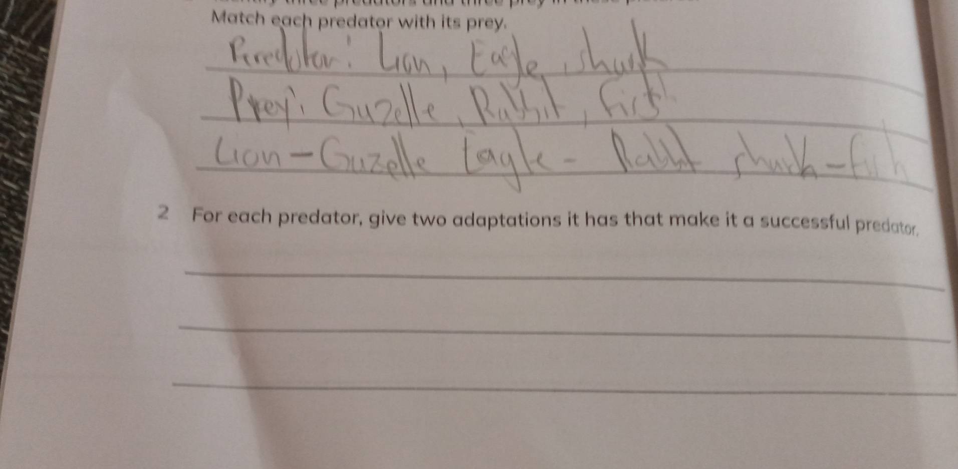 Match each predator with its prey. 
_ 
_ 
_ 
_ 
2 For each predator, give two adaptations it has that make it a successful predator. 
_ 
_ 
_