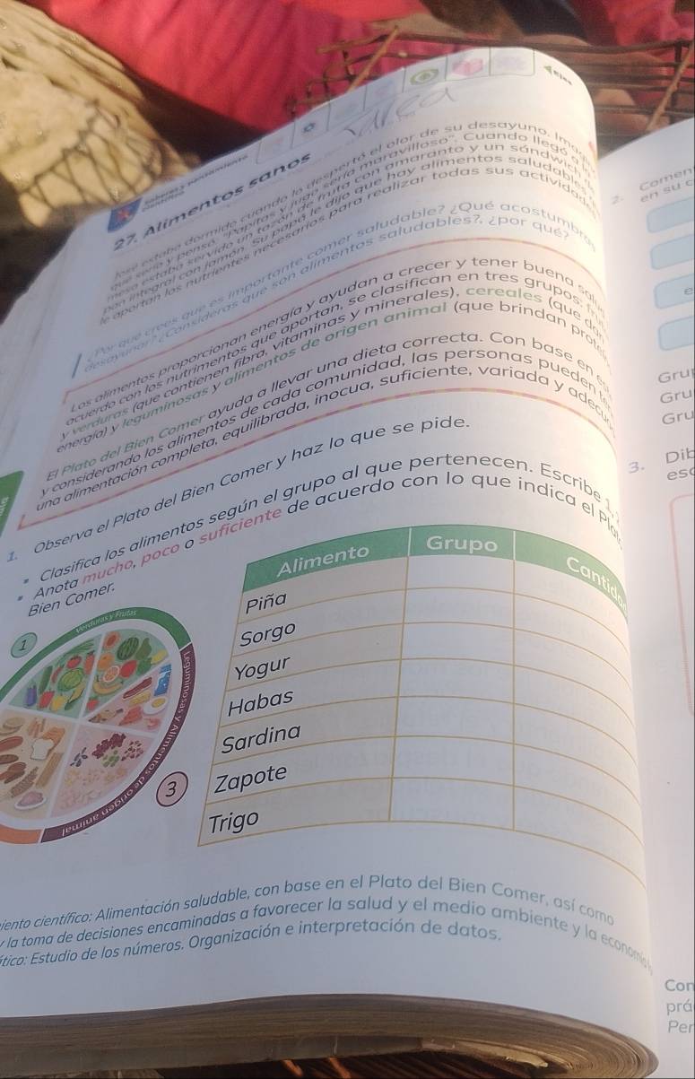 Comén 
2 en su c 
o dra de piado ja gra i e clon de e dra na a ne d a e 
27. Alímentos saños 
e estaba servide un tezón de mita con amaranto y un sánd wic 
tegral con jamón. Su papó le dijo que hay alimentos saludabl 
apertan los nutrientes necesarías para realizar todas sus activida 
Por qué crées que es importante comer saludable? ¿Qué acostumbr 
a n e r , con d e o s que s e alimen to s sal ud ab l es ? , ¿ or qu 
os alimentos proporcionan energía y ayudan a crecer y tener buena s 
e 
acuerdo con los nutrimentos que aportan, se clasifican en tres grupos 
erdures (que contienen fibra, vitaminas y minerales), cereales (que d 
nergía) y leguminosas y alimentos de origen animal (que brindan prot 
d Plato del Bién Comer ayuda a llevar una dieta correcta. Con base en Gru 
considerando los alimentos de ca da comunidad, l as person as p u e den 
Gru 
una alimentación completa, equilibrada, inocua, suficiente, variada y ader Gru 
3. Dib 
es( 
Observa el Plato del Bien Comer y haz lo que se píde 
Clasifica los alimenún el grupo al que pertenecen. Escribe 1 
Bien Comer. Anota mucho, pocode acuerdo con lo que indica 
1 
3 
iento científico: Alimentación saludable, con base en el Plato del Bien Comer, así como 
y la toma de decisiones encaminadas a favorecer la salud y el medio ambiente y la economy . 
tico: Estudio de los números. Organización e interpretación de datos, 
Con 
prá 
Per