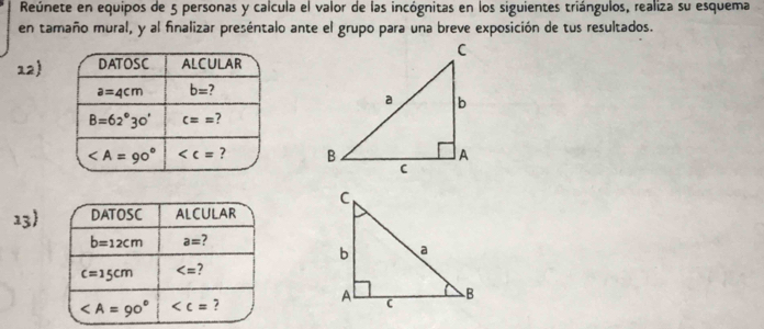 Reúnete en equipos de 5 personas y calcula el valor de las incógnitas en los siguientes triángulos, realiza su esquema
en tamaño mural, y al finalizar preséntalo ante el grupo para una breve exposición de tus resultados.
12)
13