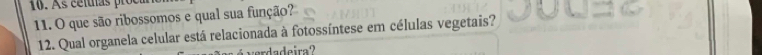 que são ribossomos e qual sua função? 
12. Qual organela celular está relacionada à fotossíntese em células vegetais? 
deira?