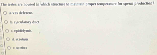 The testes are boused in which structure to maintain proper temperature for sperm production?
a. vas deferens
b. ejaculatory duct
c. epididymis
d. sc rotum
e. urethra