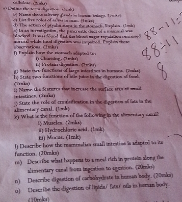 cellulose. (2mks) 
a) Define the term digestion. (1mk) 
b) Name three salivary glands in human beings. (3mks) 
c) List five roles of salivs in man. (5mks) 
d) The action of ptyalin stops in the stomach, Explain. (1mk) 
e) In an investigation, the pancreatic duct of a mammal was 
blocked. It was found that the blood sugar regulation remained 
normal while food digestion was impaired. Explain these 
observations. (2mks) 
f) Explain how the stomach adapted to 
i) Churning. (2mks) 
ii) Protein digestion. (2mks) 
g) State two functions of large intestines in humans. (2mks) 
h) State two functions of bile juice in the digestion of food. 
(2mks) 
i) Name the features that increase the surface area of small 
intestines. (2mks) 
j) State the role of emulsification in the digestion of fats in the 
alimentary canal. (1mk) 
k) What is the function of the following in the alimentary canal? 
i) Muscles. (2mks) 
ii) Hydrochloric acid. (1mk) 
iii) Mucus. (1mk) 
l) Describe how the mammalian small intestine is adapted to its 
function. (20mks) 
m) Describe what happens to a meal rich in protein along the 
alimentary canal from ingestion to egestion. (20mks) 
n) Describe digestion of carbohydrate in human body. (20mks) 
o) Describe the digestion of lipids/ fats/ oils in human body. 
(10mks)