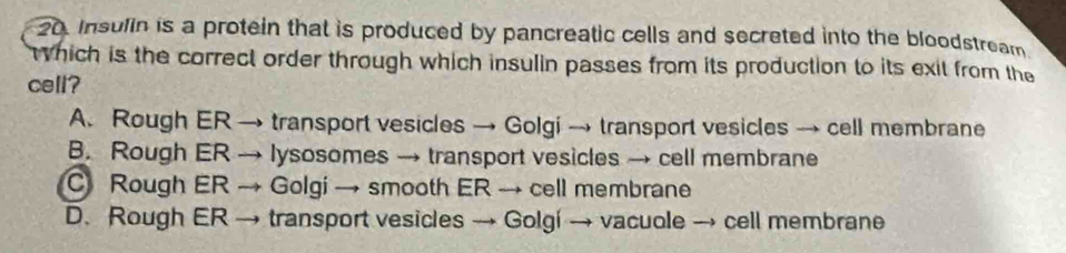 Insulin is a protein that is produced by pancreatic cells and secreted into the bloodstream
Which is the correct order through which insulin passes from its production to its exit from the
cell?
A. Rough ER → transport vesicles → Golgi → transport vesicles → cell membrane
B. Rough ER → lysosomes → transport vesicles → cell membrane
C Rough ER → Golgi → smooth ER → cell membrane
D. Rough ER → transport vesicles → Golgí → vacuole → cell membrane