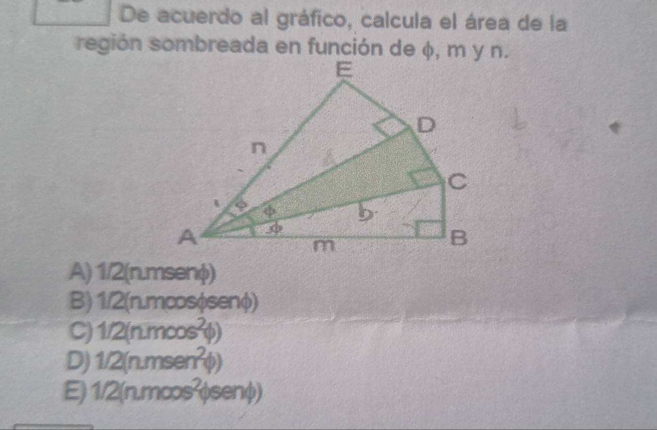 De acuerdo al gráfico, calcula el área de la
región sombreada en función de φ, m y n.
A) 1/2(n.msenφ)
B) 1/2(n mcosφsenφ)
C) 1/2(nmcos^2phi )
D) 1/2(nmsen^2phi )
E 1/2(n.mcos^2phi senphi )