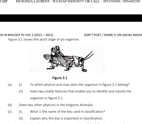 127 MUSONDA LAURENT - WATSAP 0965038377 OR CALL - 0974794056 / 0954482350 
SS IN BIOLOGY P2 VOL 2 (2015 - 2021) DON’T POST / SHARE IT ON SOCIAL MEDIA 
Figure 3.1 shows the adult stage of an organism. 
Figure 3.1 
(a) (i) To which phylum and class does the organism in figure 3.1 belong? 
(ii) state two visible features that enable you to identify and classify the 
organism in figure 3.1. 
(b) State two other phylums in the kingdom Animalia. 
(c) (i) What is the name of the key used in classification? 
(ii) Explain why this key is important in classification.