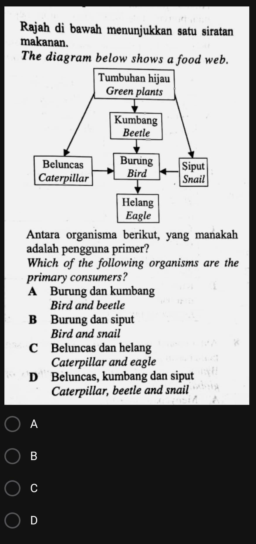 Rajah di bawah menunjukkan satu siratan
makanan.
The diagram below shows a food web.
Antara organisma berikut, yang manakah
adalah pengguna primer?
Which of the following organisms are the
primary consumers?
A Burung dan kumbang
Bird and beetle
B Burung dan siput
Bird and snail
C Beluncas dan helang
Caterpillar and eagle
D Beluncas, kumbang dan siput
Caterpillar, beetle and snail
A
B
C
D