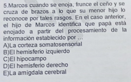 Marcos cuando se enoja, frunce el ceño y se
cruza de brazos a lo que su menor hijo lo
reconoce por tales rasgos. En el caso anterior,
el hijo de Marcos identifica que papá está
enojado a partir del procesamiento de la
información establecido por ...
A)La corteza somatosensorial
B)El hemisferio izquierdo
C)El hipocampo
D)El hemisferio derecho
E)La amigdala cerebral