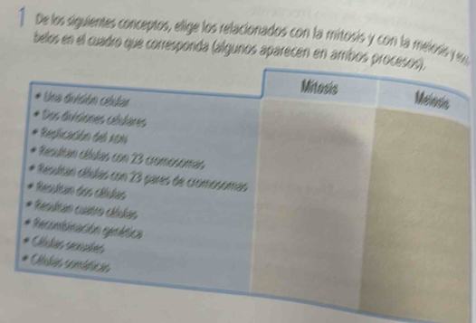 De los siguientes conceptos, elige los relacionados con la mitosis y con la meiois y e 
belos en el cuadro que corresponda (algunos aparecen en amibos procesos), 
Mitosis 
Una división cldar 
Meiosis 
* Dos divisiones célulares 
Replicación del aon 
Resultan clíutas con 23 cromosomas 
Resultan cíulas con 23 pares de cromosomas 
Resultan dos cétulas 
Resdão cuto dédas 
Reconbinación genética 
Olulas senules 
Ctielas somdéficas