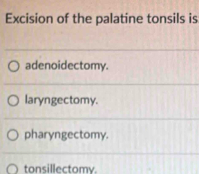 Excision of the palatine tonsils is
adenoidectomy.
laryngectomy.
pharyngectomy.
tonsillectomy.