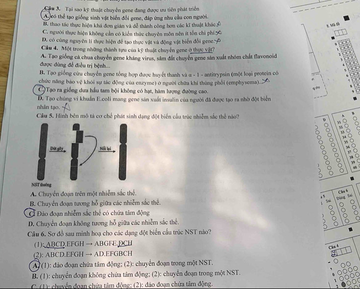 Cậu 3. Tại sao kỹ thuật chuyển gene đang được ưu tiên phát triển
A) có thể tạo giống sinh vật biến đổi gene, đáp ứng nhu cầu con người.
B. thao tác thực hiện khá đơn giản và dễ thành công hơn các kĩ thuật khác.
B. Mã đề
C. người thực hiện không cần có kiến thức chuyên môn nên ít tổn chi phí.
D. có cùng nguyên lí thực hiện để tạo thực vật và động vật biển đổi gene:
Câu 4. Một trong những thành tựu của kỹ thuật chuyển gene ở thực vật?
A. Tạo giống cả chua chuyển gene kháng virus, sâm đất chuyển gene sản xuất nhóm chất flavonoid
1
3
được dùng đề điều trị bệnh...
B. Tạo giống cửu chuyển gene tổng hợp được huyết thanh và α - 1 - antitrypsin (một loại protein có
chức năng bảo vệ khói sự tác động của enzyme) ở người chữa khí thủng phổi (emphysema)..
C)Tạo ra giống dưa hấu tam bội không có hạt, hàm lượng đường cao.
ig sho
D. Tạo chủng vi khuẩn E.coli mang gene sản xuất insulin của người đã được tạo ra nhờ đột biển
nhân tạo.
Câu 5. Hình bên mô tả cơ chế phát sinh dang đột biển cầu trúc nhiễm sắc thể nào?
B
、
C
D 。
31
a
33
34 C
35
36
37
38
39
) 4
A. Chuyển đoạn trên một nhiễm sắc thể.
Clku 6
4 5 Sai
Đùng
B. Chuyền đoạn tương hỗ giữa các nhiễm sắc thể.
Sai
| j
C
Ở Đảo đoạn nhiễm sắc thể có chứa tâm động  a
D. Chuyền đoạn không tương hỗ giữa các nhiễm sắc thể.
Câu 6. Sơ đồ sau minh hoạ cho các dạng đột biến cấu trúc NST nào?
(1): ABCD.EFGH → ABGFE.DCH
Cầu 4
(2): ABCD.EFGH → AD.EFGBCH
A. (1): đảo đoạn chứa tâm động; (2): chuyển đoạn trong một NST.
B. (1): chuyển đoạn không chứa tâm động; (2): chuyển đoạn trong một NST.
C. (1): chuyển đoan chứa tâm đông; (2): đảo đoạn chứa tâm động.