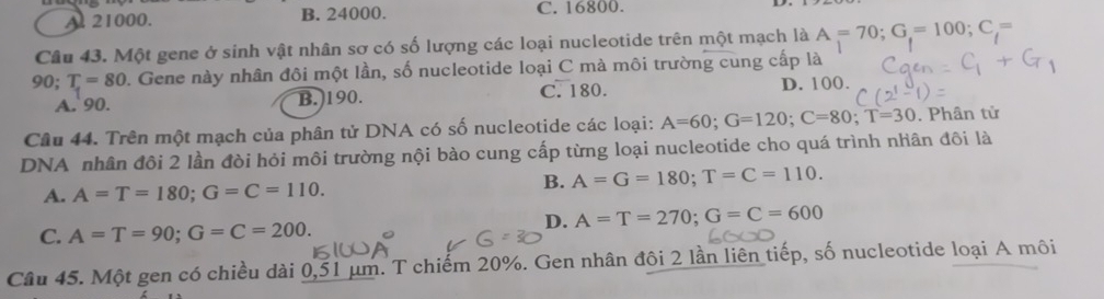 A 21000. B. 24000. C. 16800.
Câu 43. Một gene ở sinh vật nhân sơ có số lượng các loại nucleotide trên một mạch là A=70; G.=100; C=
90; T=80. Gene này nhân đôi một lần, số nucleotide loại C mà môi trường cung cấp là
A. 90. B.) 190. C. 180. D. 100.
Câu 44. Trên một mạch của phân tử DNA có số nucleotide các loại: A=60; G=120; C=80; T=30. Phân tử
DNA nhân đôi 2 lần đòi hỏi môi trường nội bào cung cấp từng loại nucleotide cho quá trình nhân đôi là
A. A=T=180; G=C=110.
B. A=G=180; T=C=110.
D. A=T=270; G=C=600
C. A=T=90; G=C=200. 
Câu 45. Một gen có chiều dài 0,51 μm. T chiếm 20%. Gen nhân đôi 2 lần liên tiếp, số nucleotide loại A môi