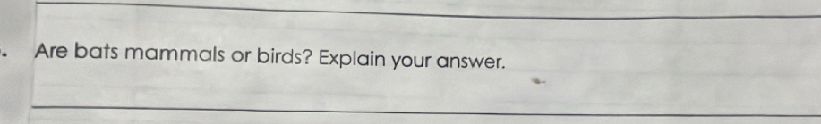 Are bats mammals or birds? Explain your answer.