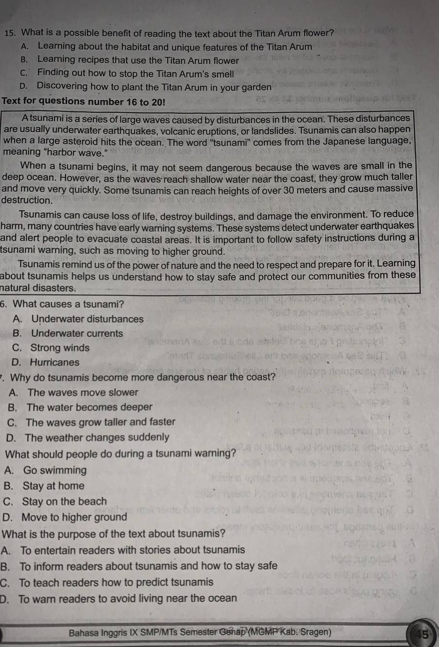 What is a possible benefit of reading the text about the Titan Arum flower?
A. Learning about the habitat and unique features of the Titan Arum
B. Learning recipes that use the Titan Arum flower
C. Finding out how to stop the Titan Arum's smell
D. Discovering how to plant the Titan Arum in your garden
Text for questions number 16 to 20!
A tsunami is a series of large waves caused by disturbances in the ocean. These disturbances
are usually underwater earthquakes, volcanic eruptions, or landslides. Tsunamis can also happen
when a large asteroid hits the ocean. The word “tsunami” comes from the Japanese language,
meaning “harbor wave.”
When a tsunami begins, it may not seem dangerous because the waves are small in the
deep ocean. However, as the waves reach shallow water near the coast, they grow much taller
and move very quickly. Some tsunamis can reach heights of over 30 meters and cause massive
destruction.
Tsunamis can cause loss of life, destroy buildings, and damage the environment. To reduce
harm, many countries have early warning systems. These systems detect underwater earthquakes
and alert people to evacuate coastal areas. It is important to follow safety instructions during a
tsunami warning, such as moving to higher ground.
Tsunamis remind us of the power of nature and the need to respect and prepare for it. Learning
about tsunamis helps us understand how to stay safe and protect our communities from these 
natural disasters.
6. What causes a tsunami?
A. Underwater disturbances
B. Underwater currents
C. Strong winds
D. Hurricanes
. Why do tsunamis become more dangerous near the coast?
A. The waves move slower
B. The water becomes deeper
C. The waves grow taller and faster
D. The weather changes suddenly
What should people do during a tsunami warning?
A. Go swimming
B. Stay at home
C. Stay on the beach
D. Move to higher ground
What is the purpose of the text about tsunamis?
A. To entertain readers with stories about tsunamis
B. To inform readers about tsunamis and how to stay safe
C. To teach readers how to predict tsunamis
D. To warn readers to avoid living near the ocean
Bahasa Inggris IX SMP/MTs Semester Genap (MGMP Kab. Sragen)