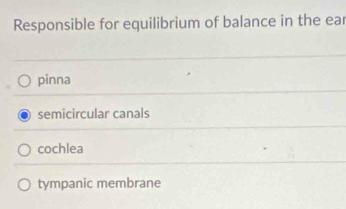 Responsible for equilibrium of balance in the ear
pinna
semicircular canals
cochlea
tympanic membrane