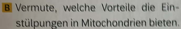 Vermute, welche Vorteile die Ein- 
stülpungen in Mitochondrien bieten.