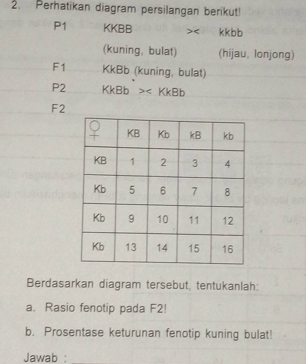 Perhatikan diagram persilangan berikut!
P1
KKBB
< kkbb
(kuning, bulat) (hijau, lonjong) 
F1
KkBb (kuning, bulat)
P2
KkBb
F2
Berdasarkan diagram tersebut, tentukanlah: 
a. Rasio fenotip pada F2! 
b. Prosentase keturunan fenotip kuning bulat! 
Jawab :