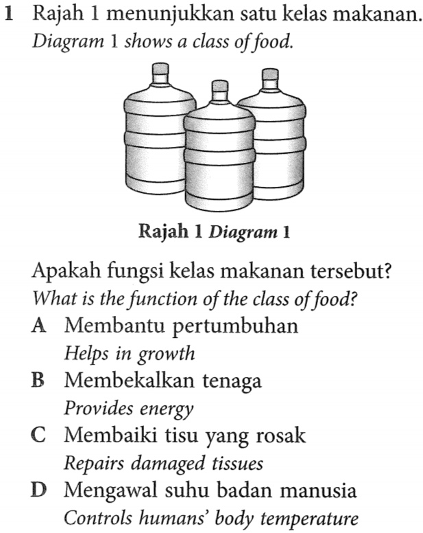 Rajah 1 menunjukkan satu kelas makanan.
Diagram 1 shows a class of food.
Apakah fungsi kelas makanan tersebut?
What is the function of the class of food?
A Membantu pertumbuhan
Helps in growth
B Membekalkan tenaga
Provides energy
C Membaiki tisu yang rosak
Repairs damaged tissues
D Mengawal suhu badan manusia
Controls humans’ body temperature