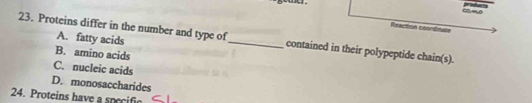 cov-0 products
Reaction coordinate
A. fatty acids
23. Proteins differ in the number and type of_ contained in their polypeptide chain(s).
B. amino acids
C. nucleic acids
D. monosaccharides
24. Proteins have a specific
